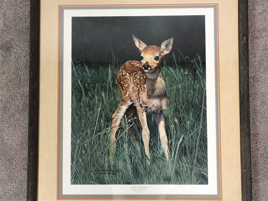 Charles Fracé (1926-2005) Hand Signed Print Titled 'New Arrival' Of Doe Deer Framed 18 X 22 [Photo 3]