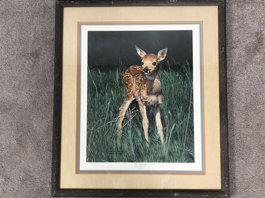 Charles Fracé (1926-2005) Hand Signed Print Titled 'New Arrival' Of Doe Deer Framed 18 X 22 [Photo 1]