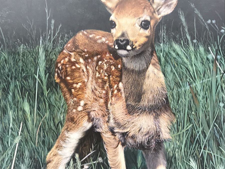 Charles Fracé (1926-2005) Hand Signed Print Titled 'New Arrival' Of Doe Deer Framed 18 X 22 [Photo 6]