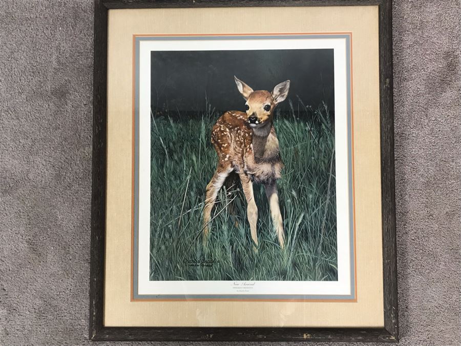 Charles Fracé (1926-2005) Hand Signed Print Titled 'New Arrival' Of Doe Deer Framed 18 X 22 [Photo 2]