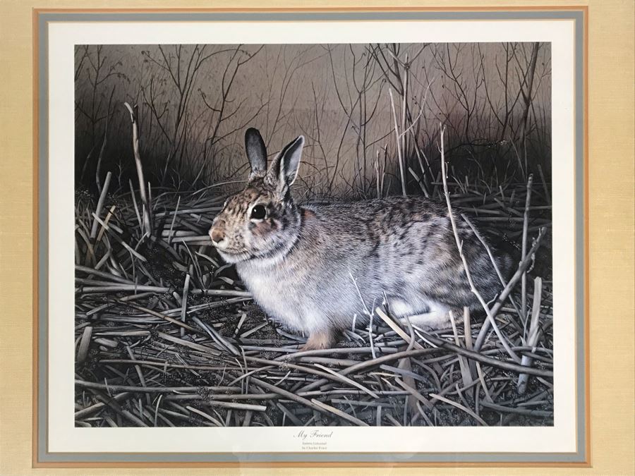 Charles Fracé (1926-2005) Hand Signed Print Titled 'My Friend' Of Eastern Cottontail Rabbit Framed 22 X 18 [Photo 3]