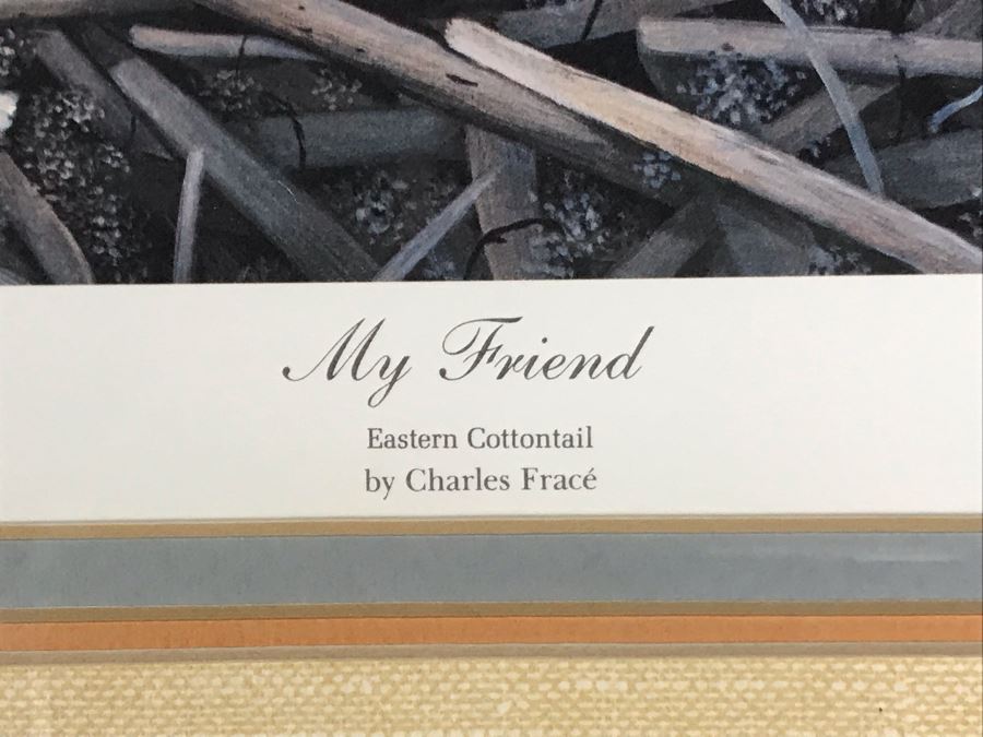 Charles Fracé (1926-2005) Hand Signed Print Titled 'My Friend' Of Eastern Cottontail Rabbit Framed 22 X 18 [Photo 6]