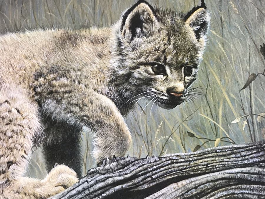 Charles Fracé (1926-2005) Hand Signed Limited Edition Print Titled 'Double Trouble' Of Lynx Pair 27 X 23 [Photo 5]