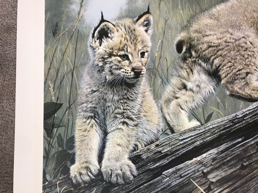 Charles Fracé (1926-2005) Hand Signed Limited Edition Print Titled 'Double Trouble' Of Lynx Pair 27 X 23 [Photo 3]