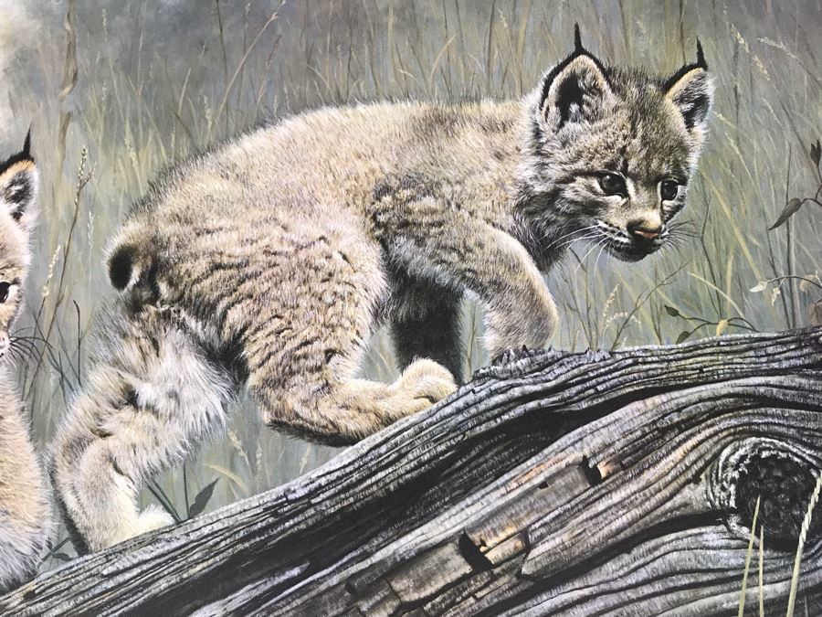 Charles Fracé (1926-2005) Hand Signed Limited Edition Print Titled 'Double Trouble' Of Lynx Pair 27 X 23 [Photo 4]