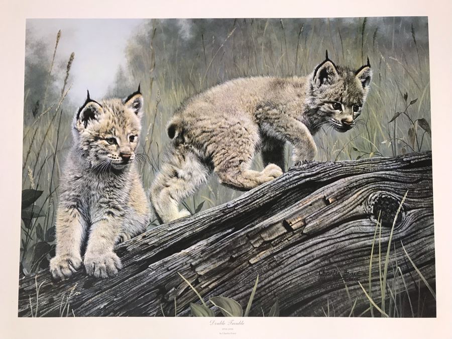 Charles Fracé (1926-2005) Hand Signed Limited Edition Print Titled 'Double Trouble' Of Lynx Pair 27 X 23 [Photo 2]
