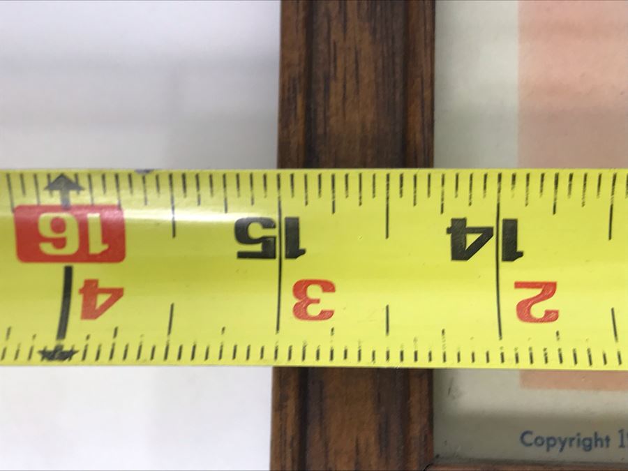 Shark River 1953 Movie Poster Lobby Card Featuring Actress Carole Mathews United Artists Corporation Framed 15 X 12 [Photo 12]