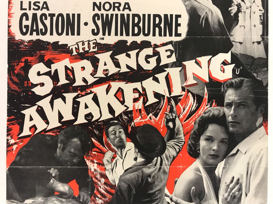 1958 The Strange Awakening Movie Poster / Information Featuring Carole Mathews 10 X 13 [Photo 3]