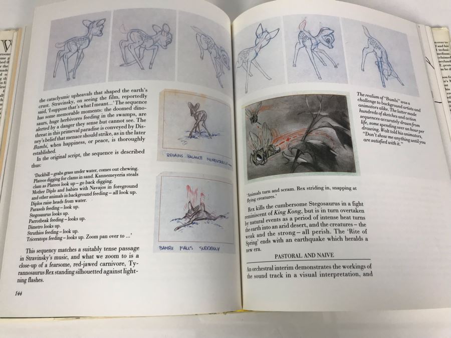 Walt Disney's World Of Fantasy Book By Adrian Bailey [Photo 13]