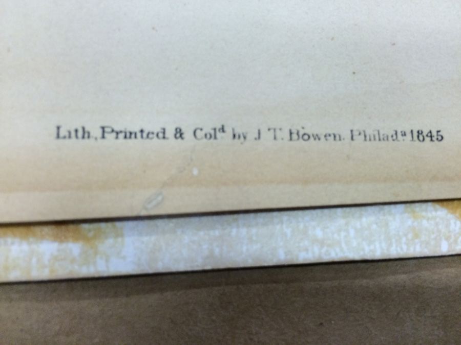 1845 JJ Audubon American Bison Hand Colored Lithograph Printed by J T Bowen in Philadelphia [Photo 8]