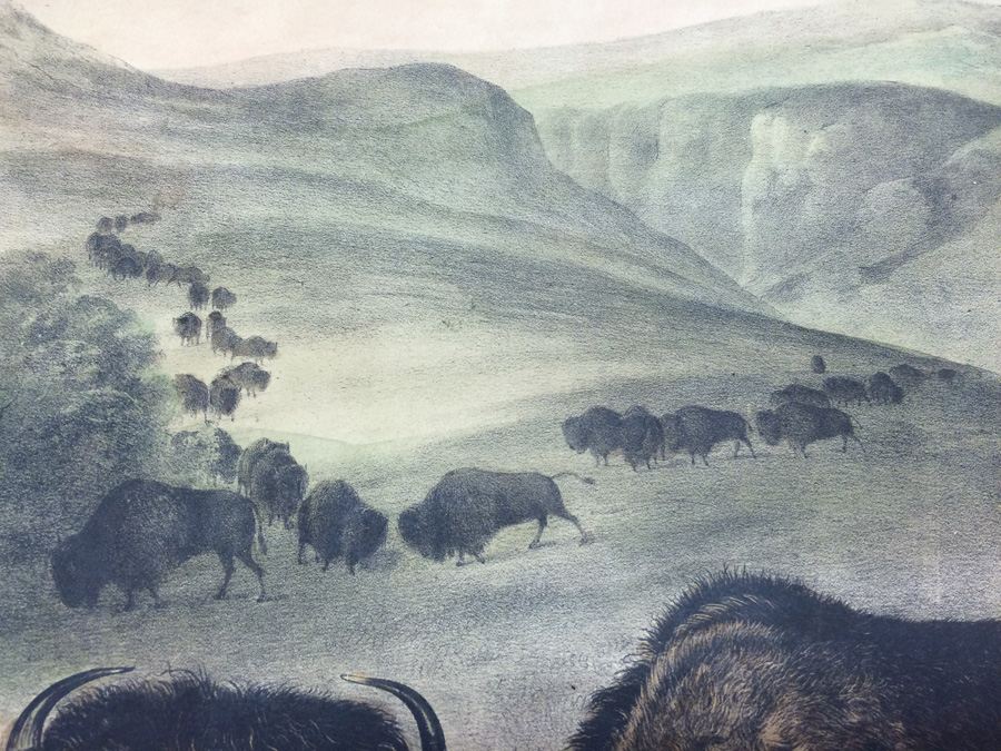 1845 JJ Audubon American Bison Hand Colored Lithograph Printed by J T Bowen in Philadelphia [Photo 14]