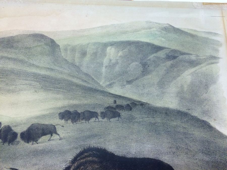1845 JJ Audubon American Bison Hand Colored Lithograph Printed by J T Bowen in Philadelphia [Photo 15]
