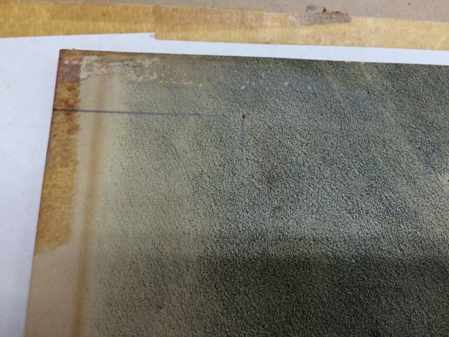 1845 JJ Audubon American Bison Hand Colored Lithograph Printed by J T Bowen in Philadelphia [Photo 6]