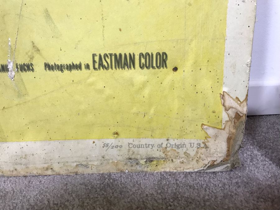 Large 1955 Movie Poster 'Love Me Or Leave Me' Staring Doris Day And James Cagney On Board MGM 4'W X 6'H [Photo 9]