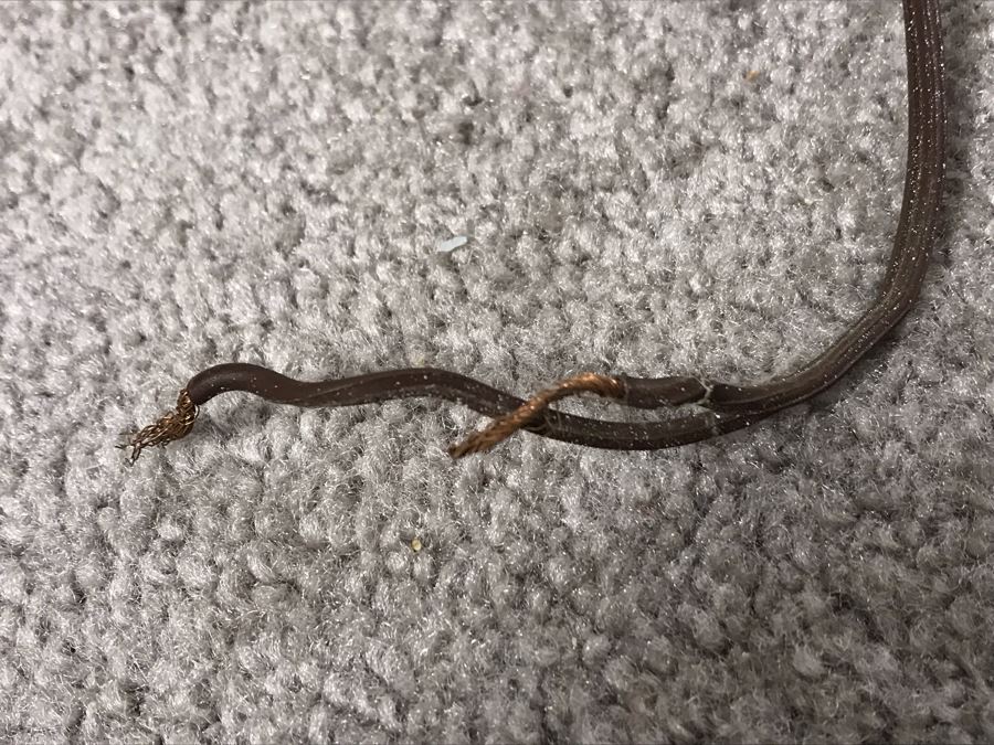 Pair Of Vintage Ornate Brass Wall Sconces Light Fixtures With Eagle Finials (One Finial Needs To Be Reattached) [Photo 21]