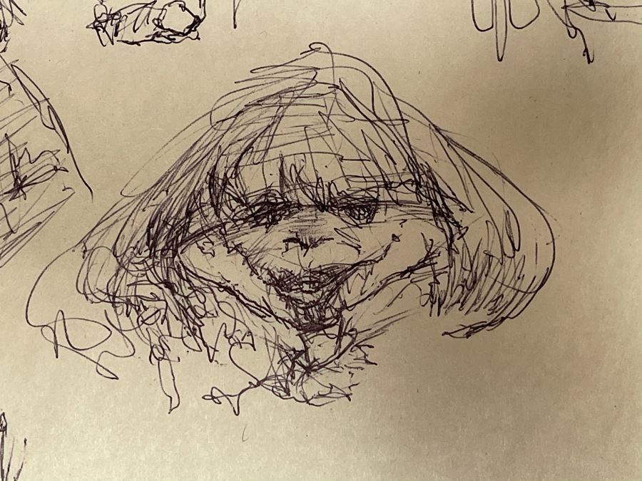 Max Turner Unsigned Original Caricatures Cartoons Drawings On Paper 11.5 X 17 [Photo 14]