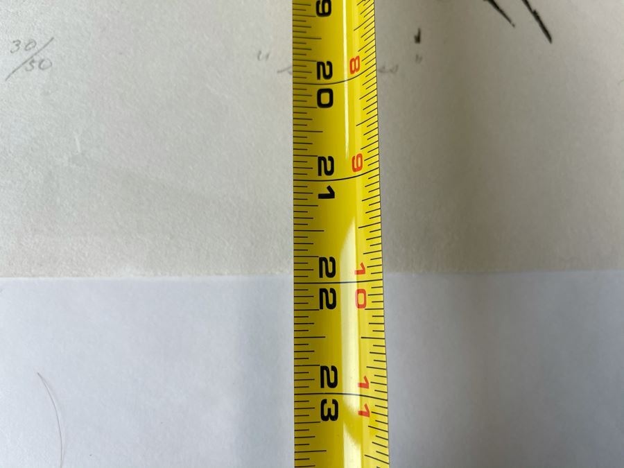 Sueo Serisawa (1910-2004) Japanese American Artist Limited Edition Abstract Modernist Print Hand Signed 30 Of 50 Titled 'Suchness' 17 X 22 [Photo 11]