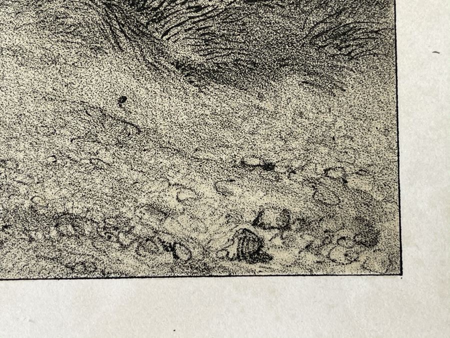 Antique 1845 Lithograph Of Napoleon Titled 'L'Empereur. Habit De Grenadier' Shown Riding Horse In Military Uniform By Artist Nicolas Toussaint Charlet Engraved By French Engraver Auguste Bry (134, Rue Du Bac, Paris, France) 10.75 X 14.25 [Photo 12]