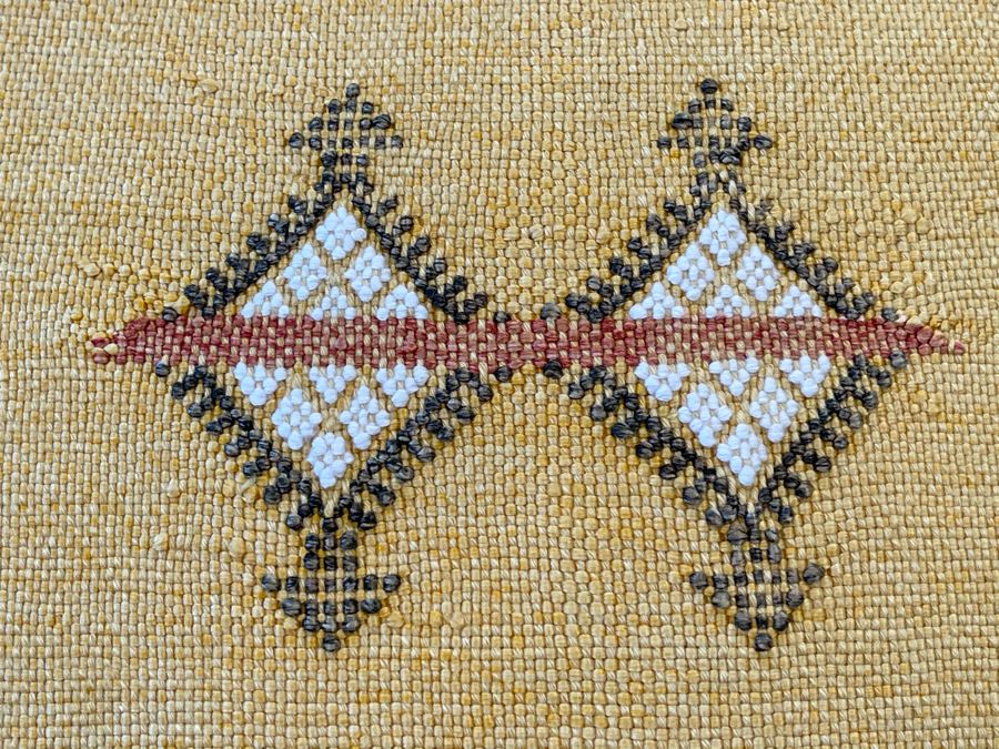 Pair Of Moroccan Handmade Cactus Silk Organic Pillows Retails $310 [Photo 6]