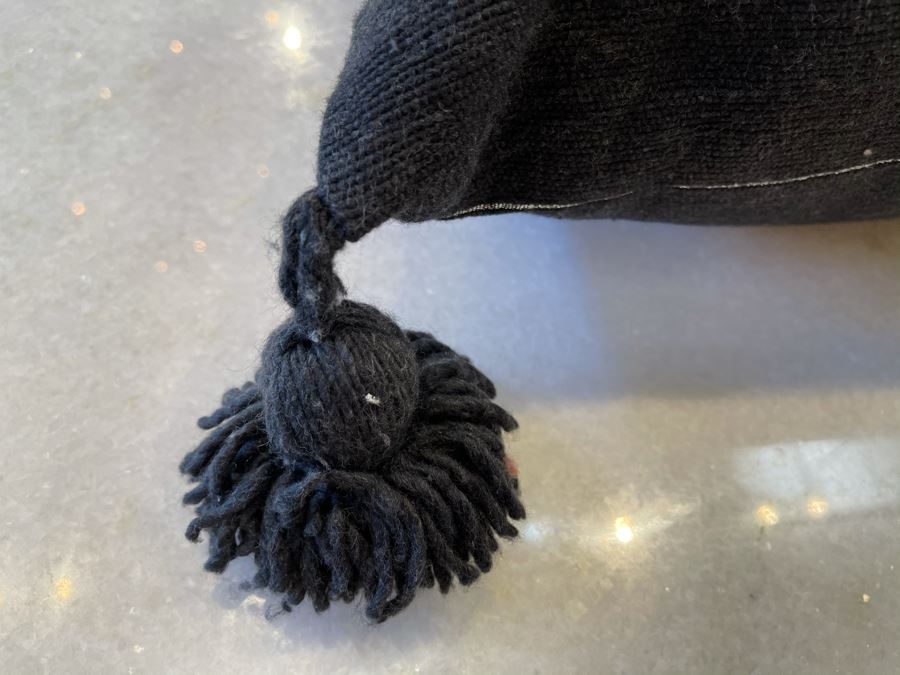 Pair Of Cotton Pom Pom Pillows 15' X 15' Retails $190 [Photo 5]