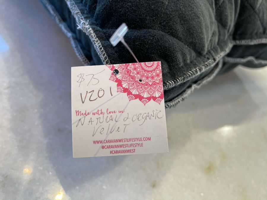 Pair Of Natural Organic Velvet Pillows 19' X 19' Retails $150 [Photo 5]