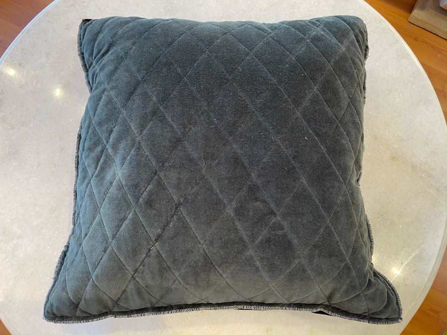 Pair Of Natural Organic Velvet Pillows 19' X 19' Retails $150 [Photo 3]