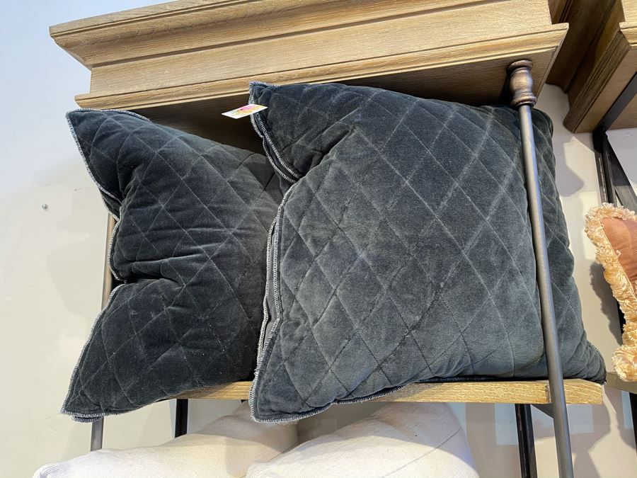 Pair Of Natural Organic Velvet Pillows 19' X 19' Retails $150