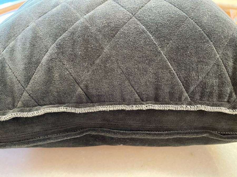Pair Of Natural Organic Velvet Pillows 19' X 19' Retails $150 [Photo 4]
