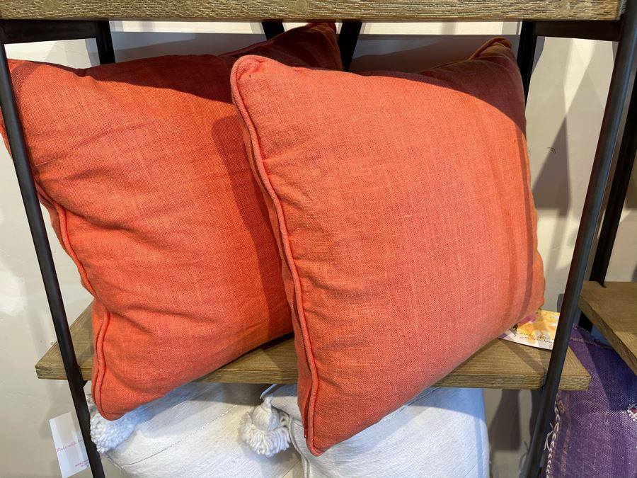 Pair Of Cotton Pillows 16' X 16' Retails $240