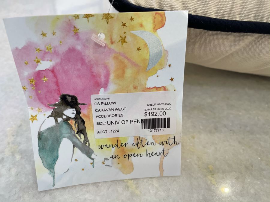 University Of Pennsylvania Collegiate Emroidered Pillow From Catstudio 17' X 13' Retails $192 [Photo 6]