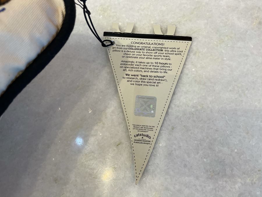 University Of Pennsylvania Collegiate Emroidered Pillow From Catstudio 17' X 13' Retails $192 [Photo 5]