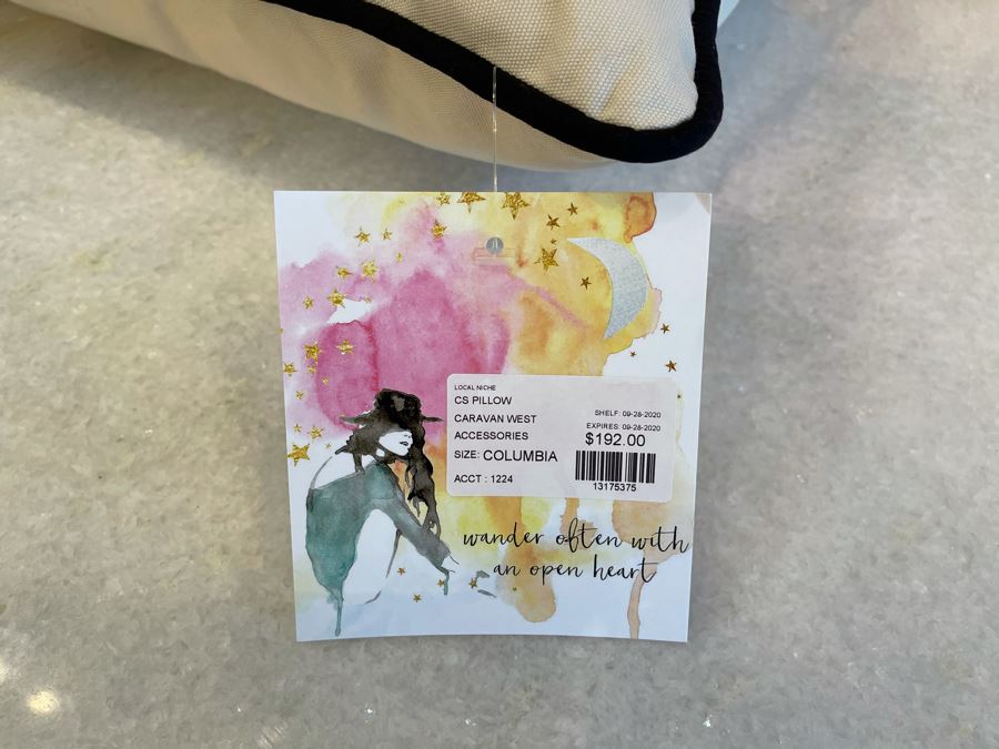 Columbia University New York City Collegiate Emroidered Pillow From Catstudio 17' X 13' Retails $192 [Photo 6]