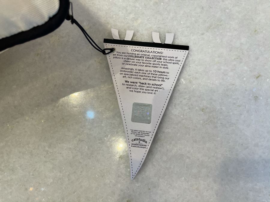 Columbia University New York City Collegiate Emroidered Pillow From Catstudio 17' X 13' Retails $192 [Photo 5]