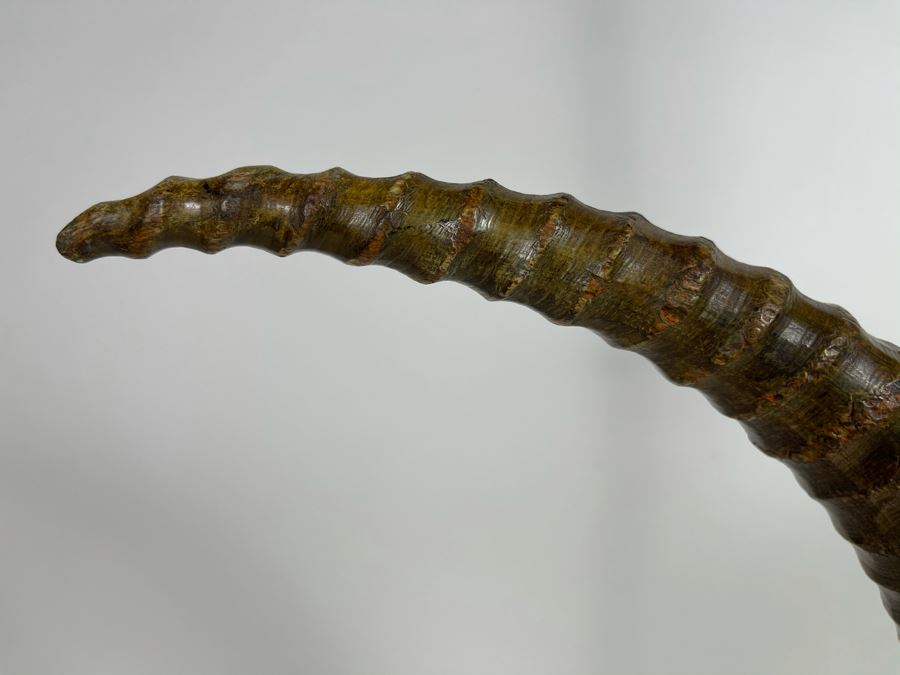 Faux Antler Sculpture On Marble Base Retails $175 [Photo 3]