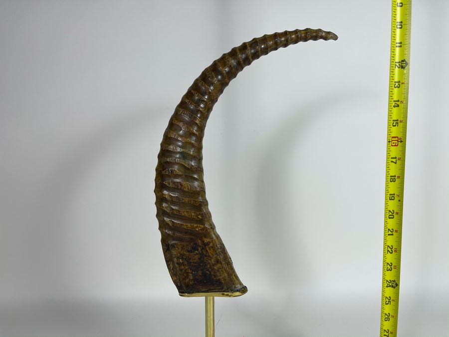 Faux Antler Sculpture On Marble Base Retails $175 [Photo 6]