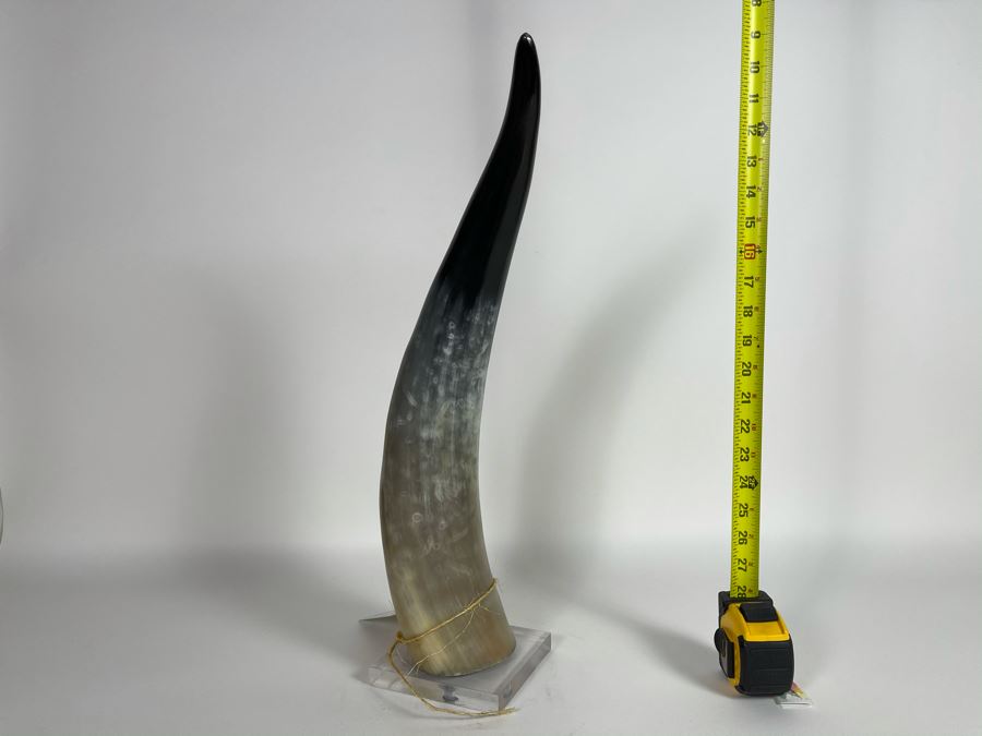 Faux Horn Sculpture On Lucite Base Retails $175 [Photo 2]