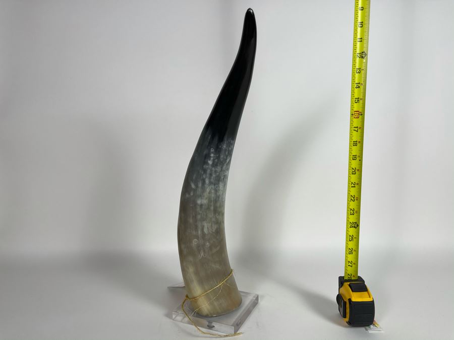 Faux Horn Sculpture On Lucite Base Retails $175 [Photo 1]