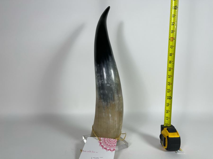 Faux Horn Sculpture On Lucite Base Retails $175 [Photo 5]
