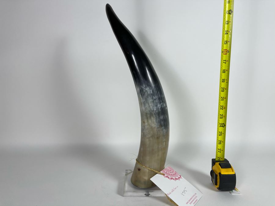 Faux Horn Sculpture On Lucite Base Retails $175 [Photo 6]