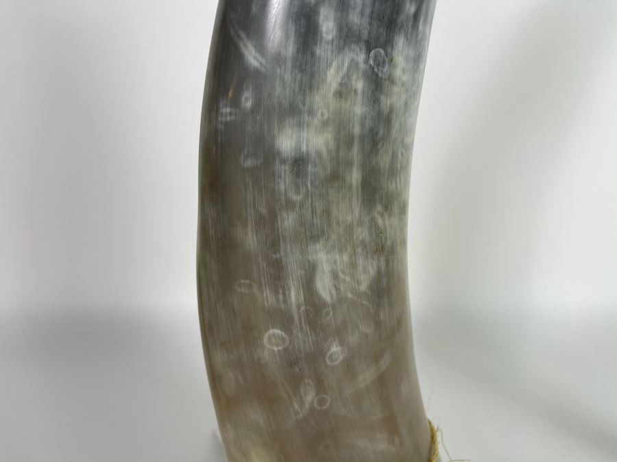 Faux Horn Sculpture On Lucite Base Retails $175 [Photo 3]