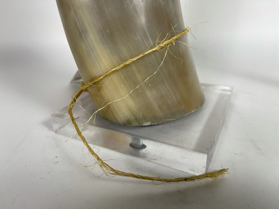 Faux Horn Sculpture On Lucite Base Retails $175 [Photo 4]