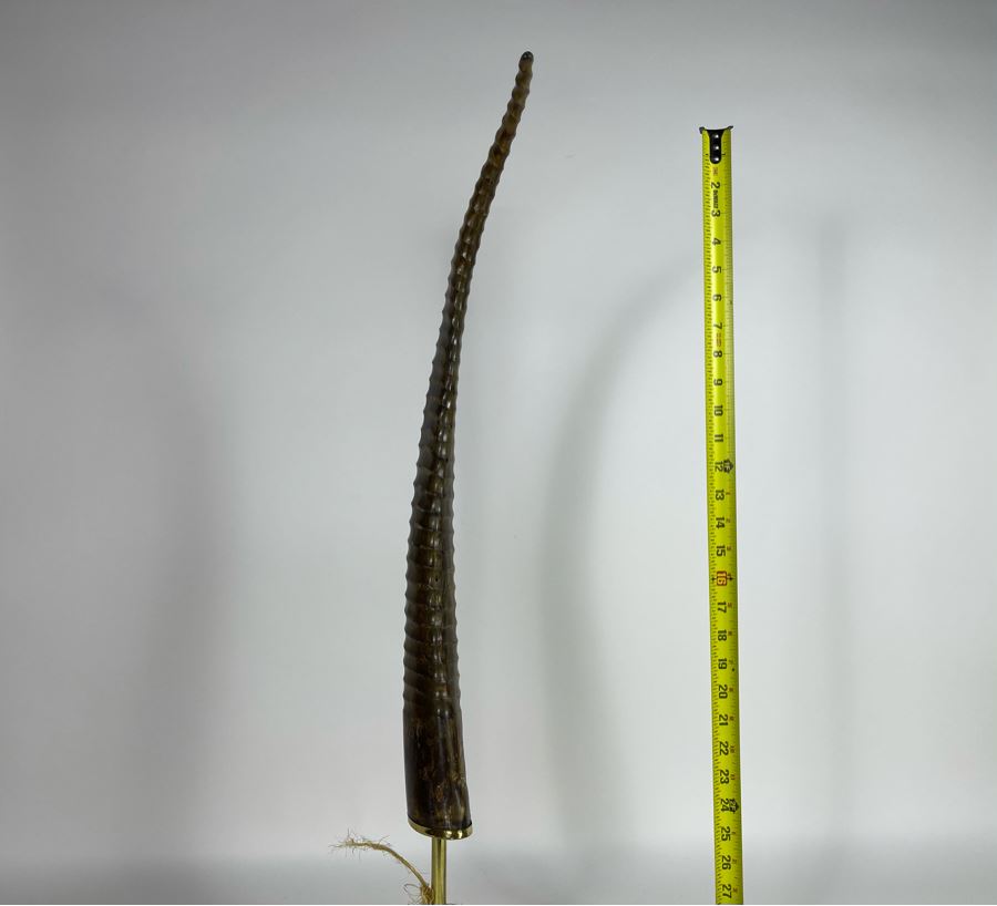 Faux Antler Sculpture On Marble Base Retails $175 [Photo 7]