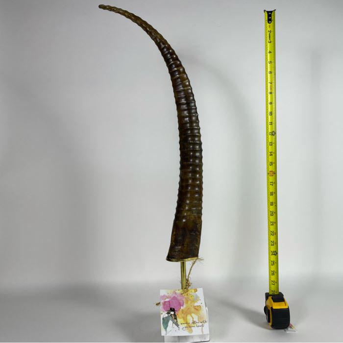 Faux Antler Sculpture On Marble Base Retails $175 [Photo 8]