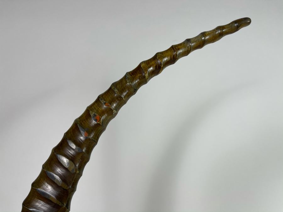 Faux Antler Sculpture On Marble Base Retails $175 [Photo 5]