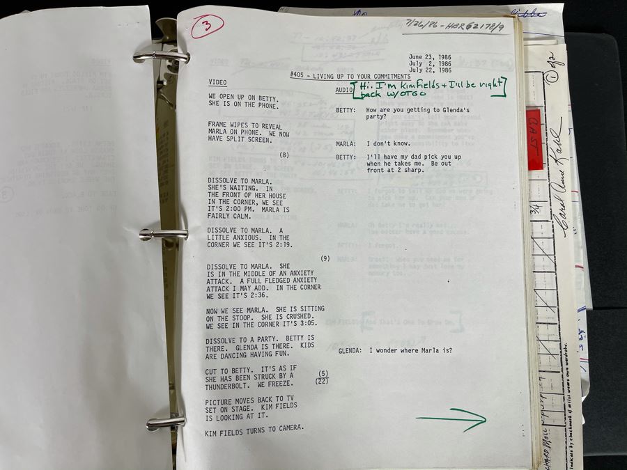 NBC Script To TV Series One To Grow On [Photo 14]