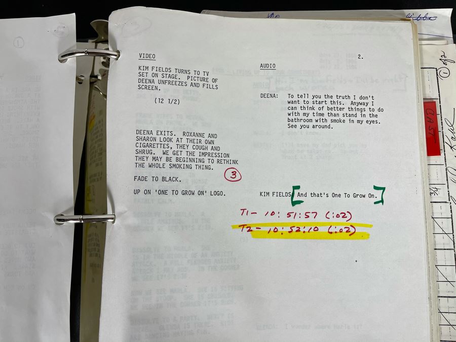 NBC Script To TV Series One To Grow On [Photo 13]