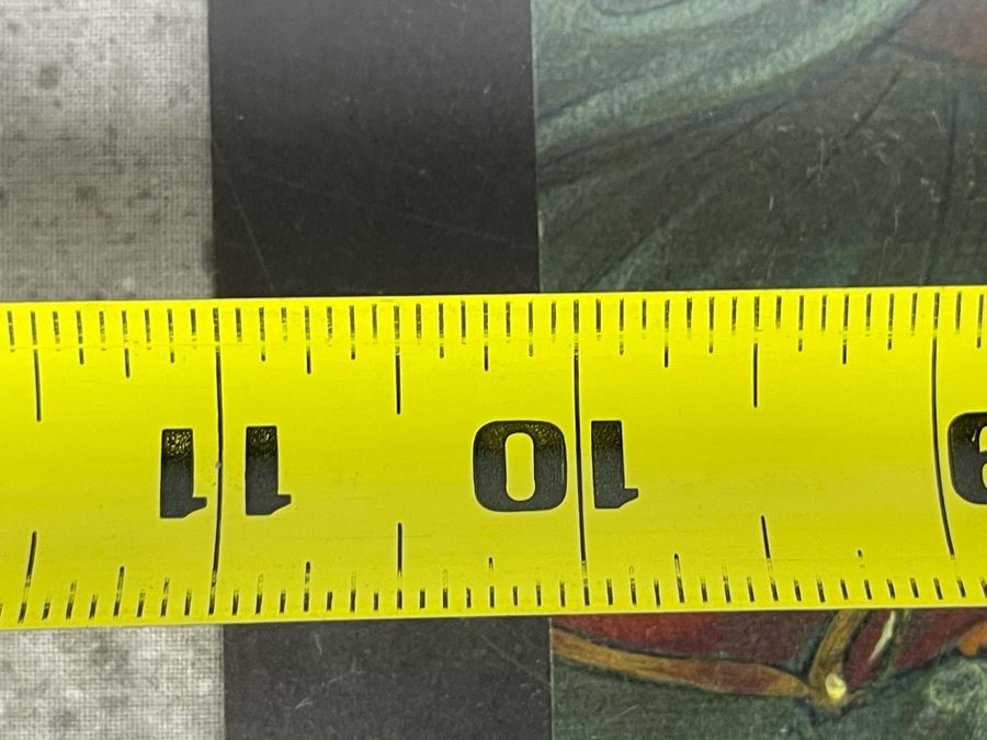 Magic The Gathering Hand Signed Prints Of Cards: Game Of Chaos Card And Fledgling Djinn Card # 121 - Owner Acquired Autographs Working Comic-Con Over 10 Years 17.75W X 24' [Photo 17]