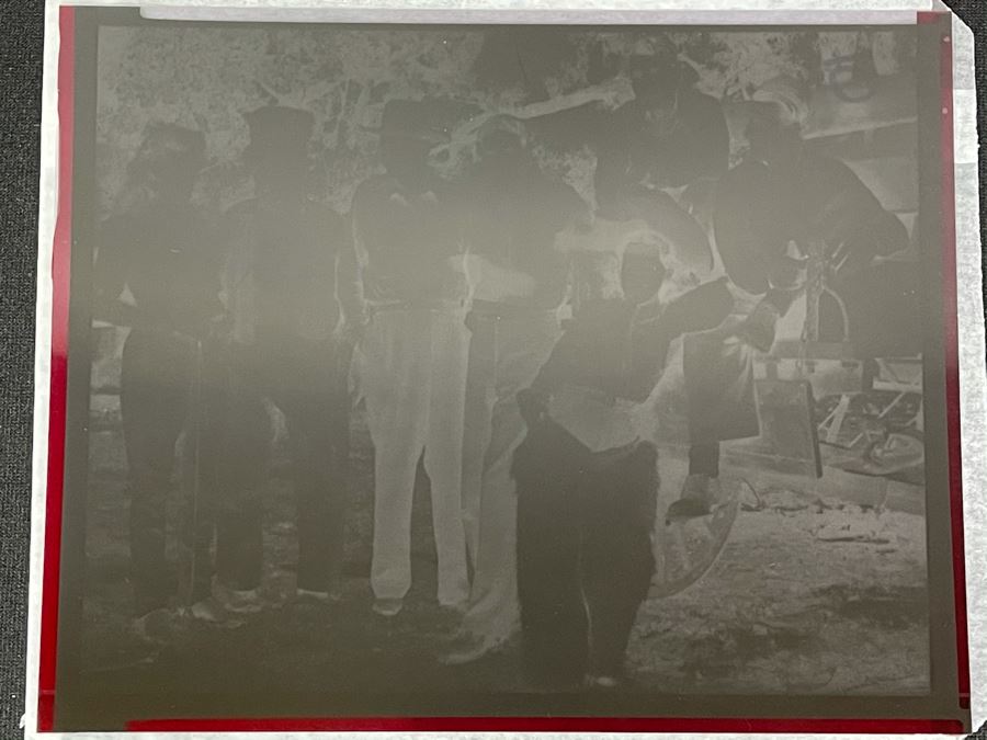 Actress Carole Mathews Old Hollywood B&W Photographs From Movie Set With Original Large Negative 8.5 X 11 [Photo 2]