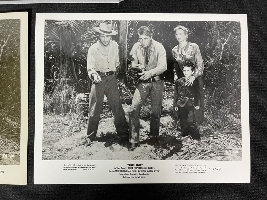 Actress Carole Mathews Old Hollywood B&W Photographs From Movie Scene 'Shark River' 1953 United Artists With Original Large Negative 8.5 X 11 [Photo 2]