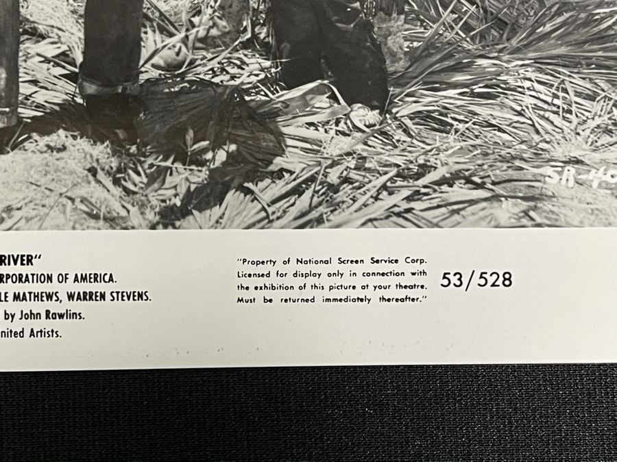 Actress Carole Mathews Old Hollywood B&W Photographs From Movie Scene 'Shark River' 1953 United Artists With Original Large Negative 8.5 X 11 [Photo 4]